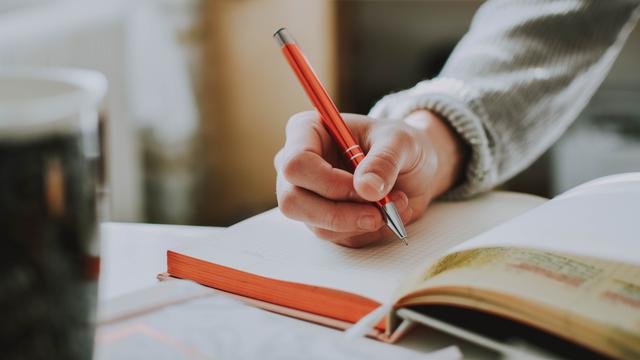 Jasa Penulis Artikel